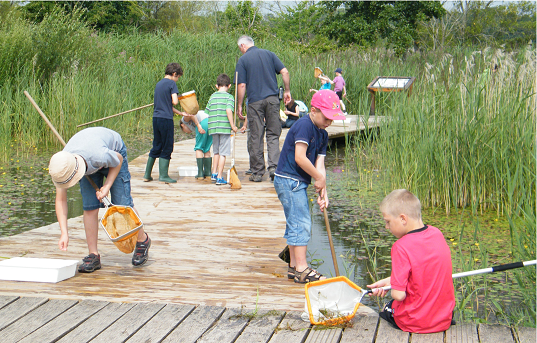 Pond Dip Vale of Glamorgan Council